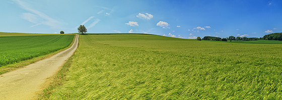pgͽŮƽ̨-pgͽŮƽ̨ٷ2025°11.22.33.350-ɫԴ