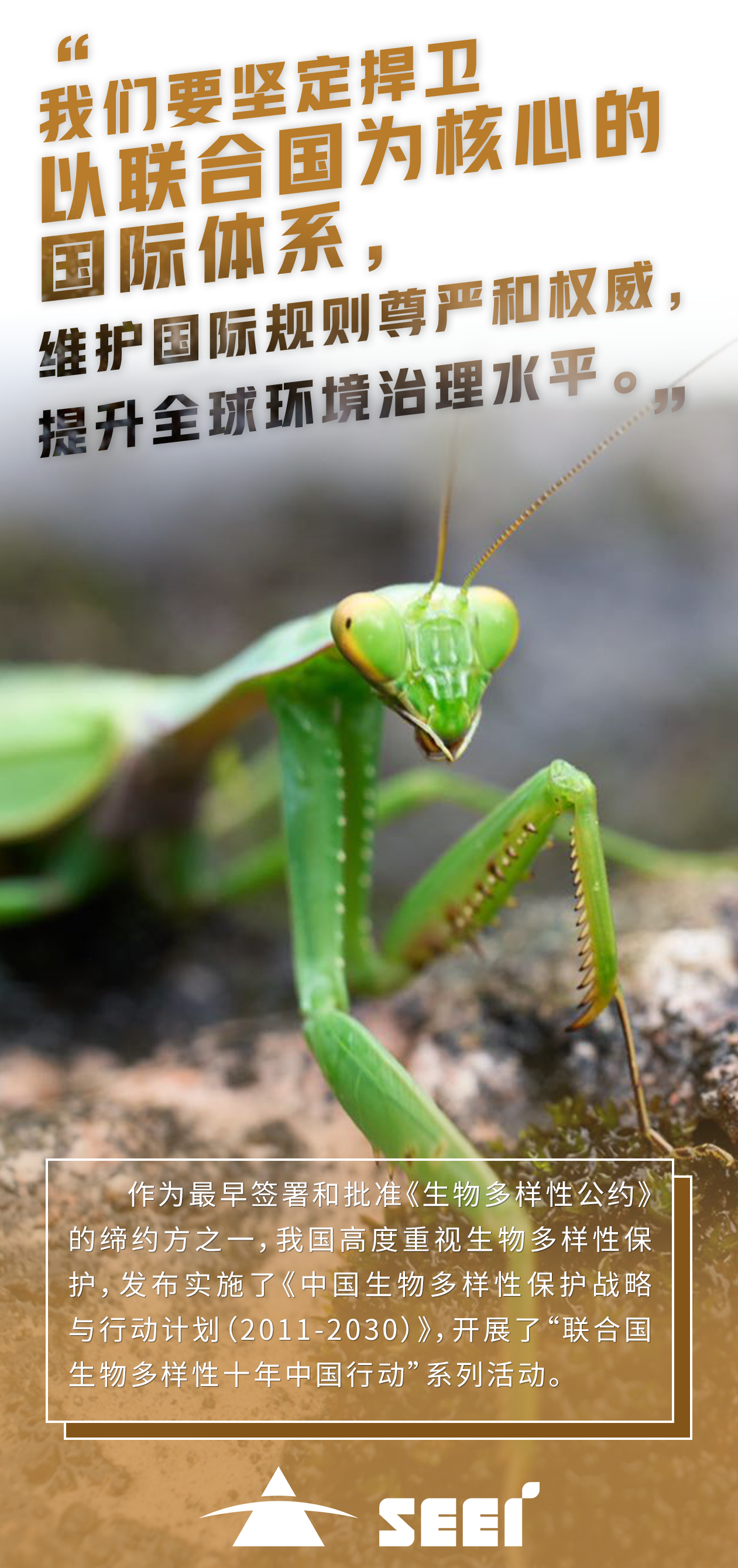 6ĴpgͽŮƽ̨-